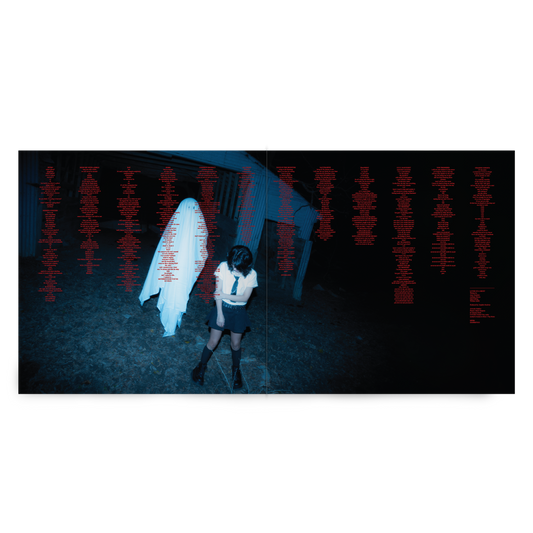 Lover Of A Ghost Vinyl